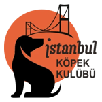 İKK Akademi
